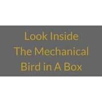 MMM Bird in A Box MU  214 201 00, Gold Etched, Exquisite and Rare Music Box with Automated Bird